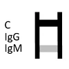 1 1
